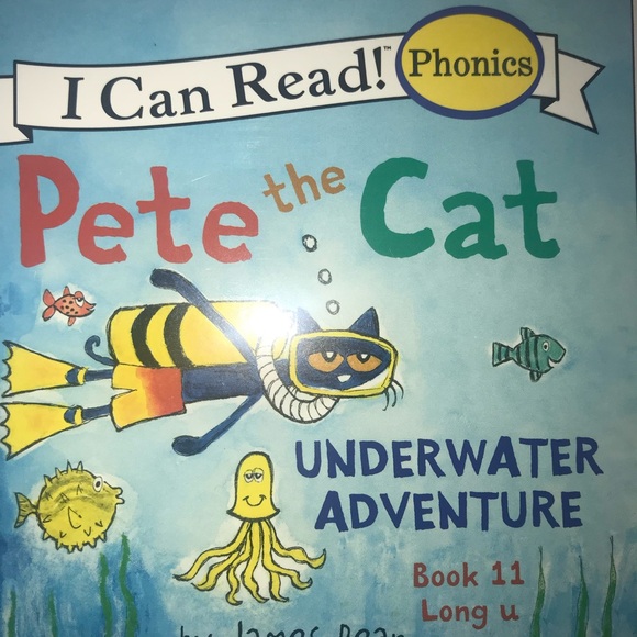 Bundle Of 12 Pete The Cat Books - Picture 6 of 14